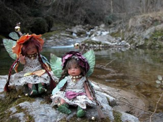 2_primula_sul_torrente.jpg