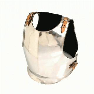 busto_acciaio.gif