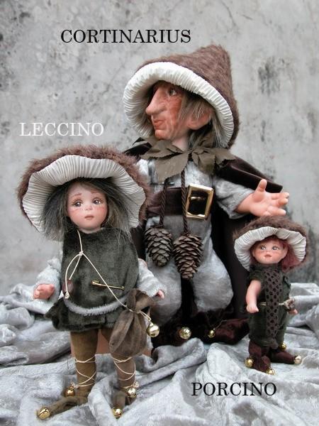 LECCINO-CORTINARIUS-PORCINO_so