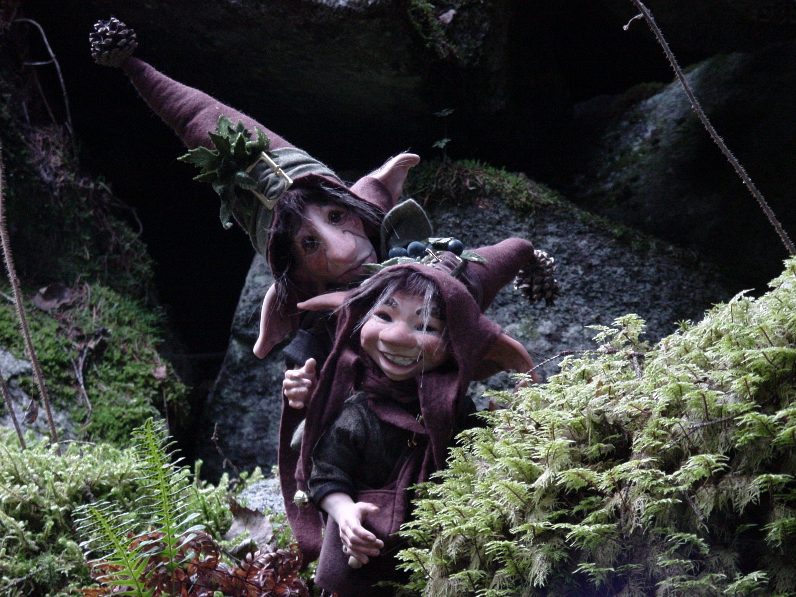 pungitopo_e_tamarindo